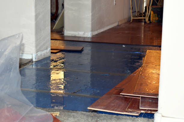 Professional Sewage Cleanup technician working in Lucerne, CA